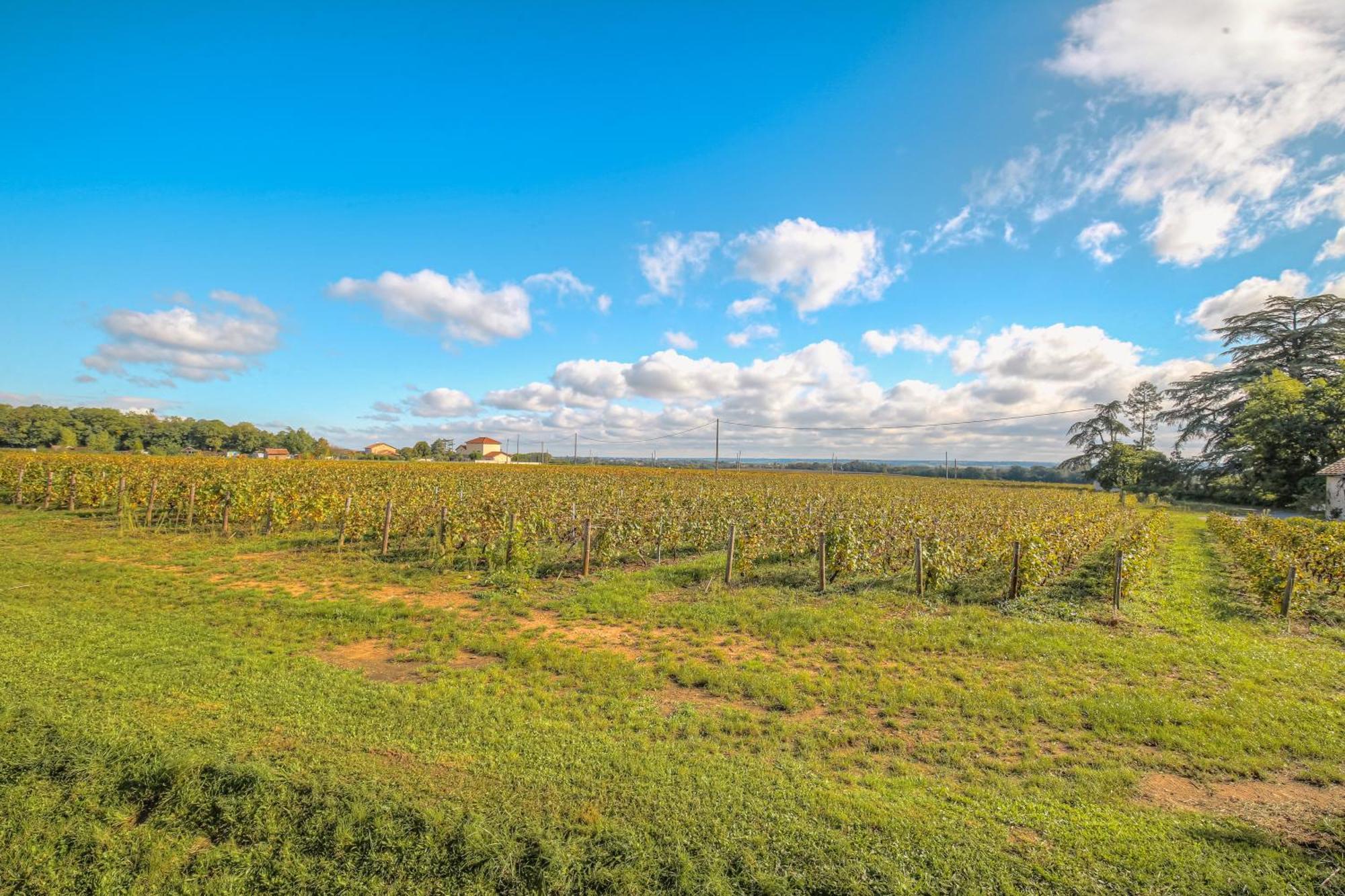 Hébergement de vacances New Maison Au Coeur Des Vignes Charentay